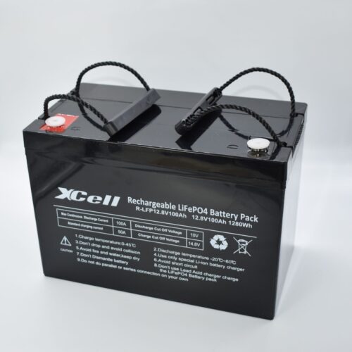 76489 xcell fp12100 lifepo4